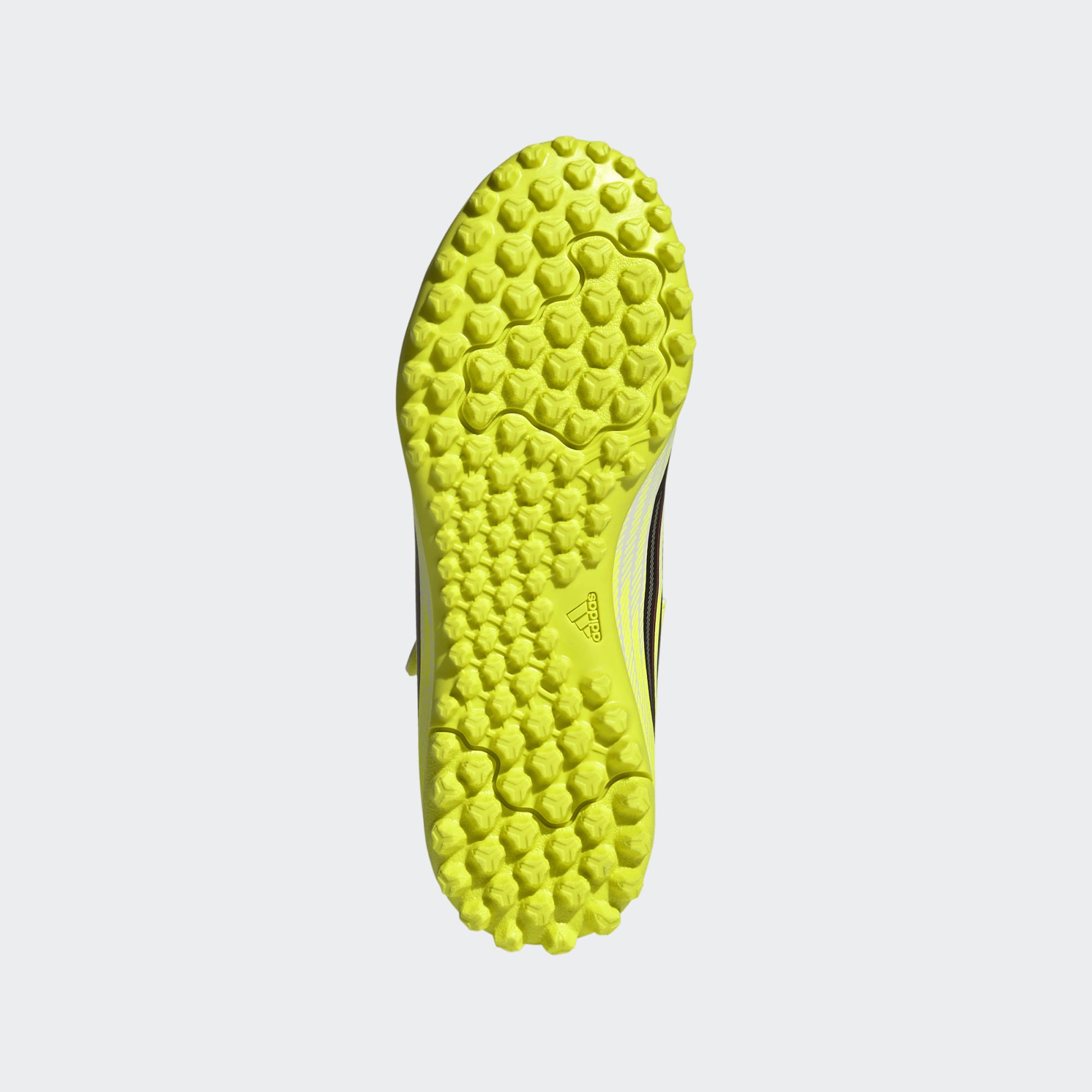 Bottom View-Photography