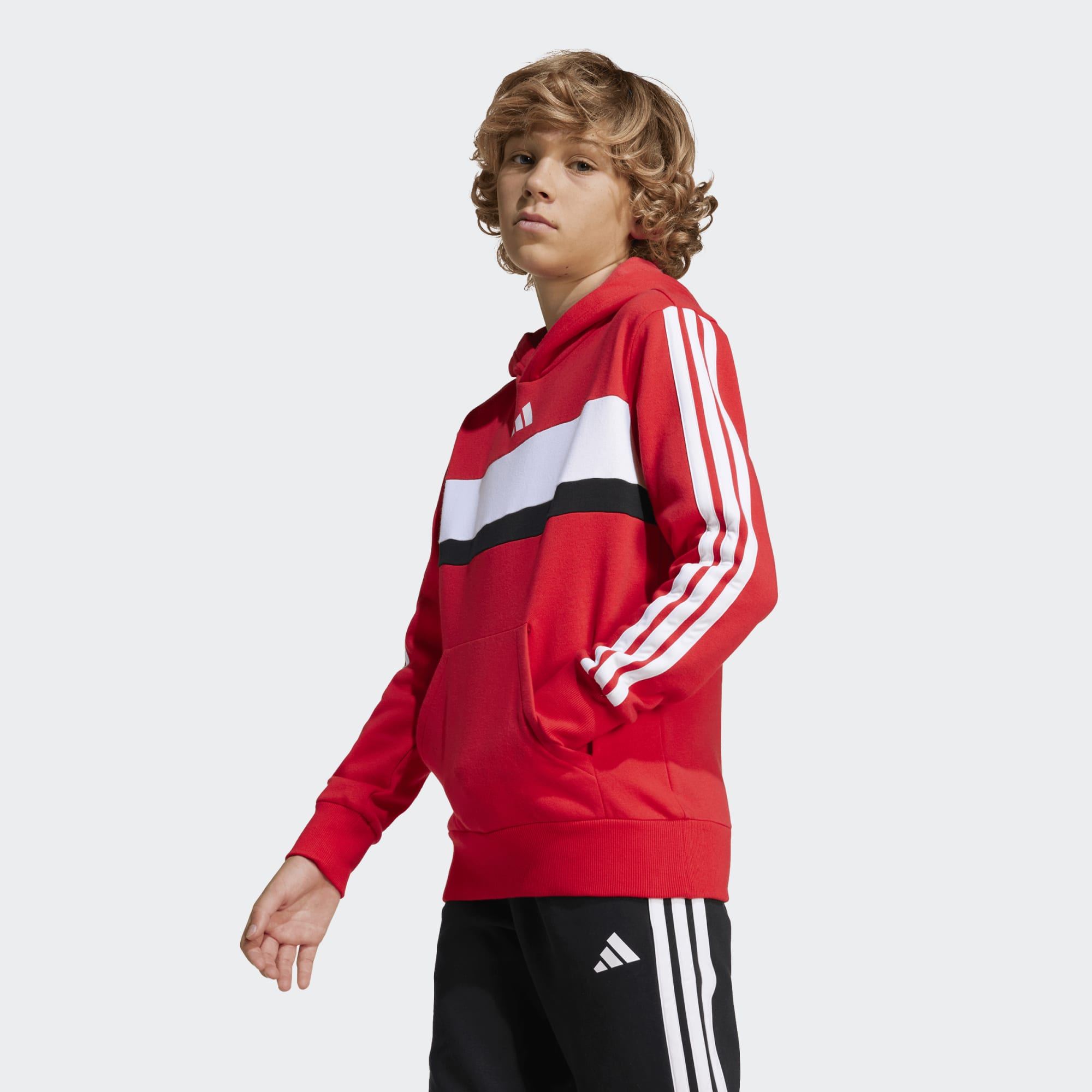 Standard View-Photography